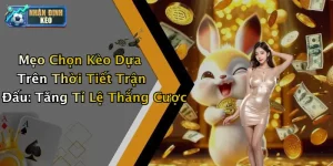 Mẹo Chọn Kèo Dựa Trên Thời Tiết Trận Đấu: Tăng Tỉ Lệ Thắng Cược