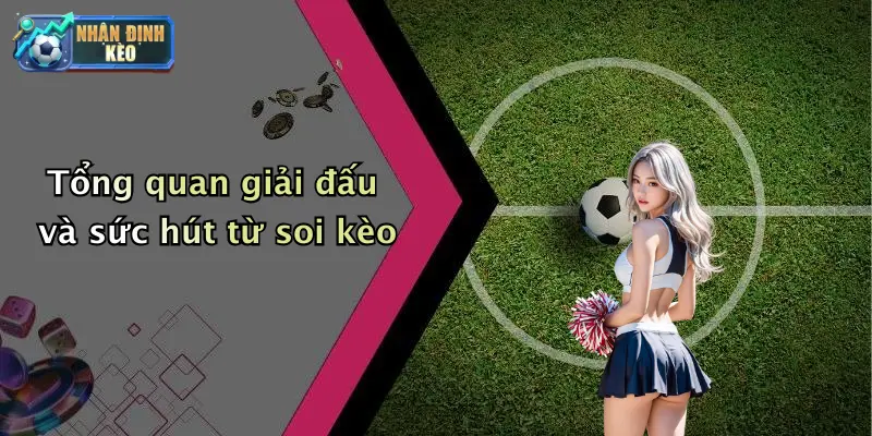 Tổng quan giải đấu và sức hút từ soi kèo