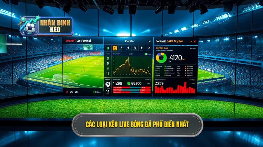 2. Các loại kèo live bóng đá phổ biến nhất